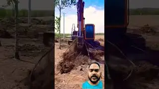 New technology 😝#tree 🌳#treeremoval #trendingshorts #shortsfeed #shorts #skills #machine #home