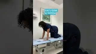 Cat-Cow Stretch | Daily Routine for Health & Stress Relief with Heba | Physiomove London