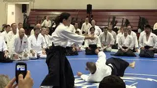 Birankai Aikido Summer Camp 2017 - M. Graham