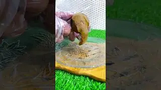sapodilla cutting and peeling #foodshorts #yummy #tasty #food #recipe #sweets #cutting #sapodilla