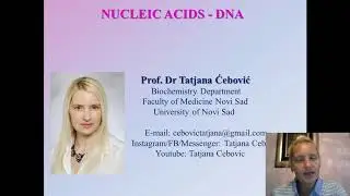 DNA - structure and properties