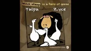 Zyce & Talpa - Black sheep in a herd of geese