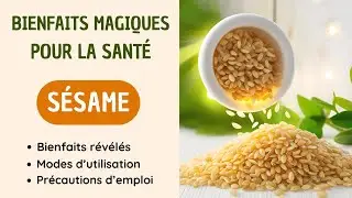 Pourquoi les Experts en Nutrition Recommandent-ils le S&eacute;same au Quotidien ? 🍽️✨