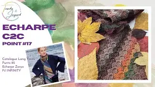 D&eacute;buter le C2C au crochet : r&eacute;alise facilement l'&eacute;charpe Zorya de Lang Yarns (Point #17)