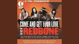 We Were All Wounded at Wounded Knee (Rerecorded)