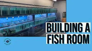 Setting up a fish room? Check this out before!