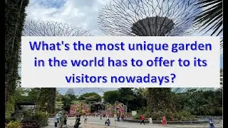 Gardens By The Bay Where Wonder Blooms | A unique garden | Supertrees
