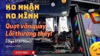 Kh&ocirc;ng nhận card h&igrave;nh Vga kh&ocirc;ng l&ecirc;n h&igrave;nh quạt vẫn quay lỗi thường thấy Giga GTX750oc gaming