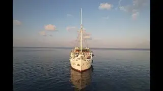 Discover Pindito - The pioneer of Indonesian waters.
