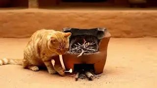 Mama Cat Catches River Fish and Cooks Crispy Meal for Kittens at Home 🐟🍳🐾