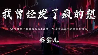 燕宝儿 - 我曾经发了疯的想 (抖音热播版)『我曾经发了疯的想想想不过梦一场，密密麻麻都是你给我的伤，如今拼命忘忘忘忘不掉你的模样』【高音質 动态歌词MV/PinyinLyrics】