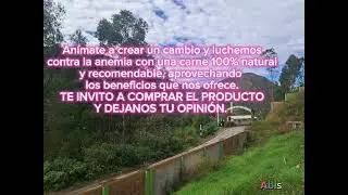 1 de junio de 2025
