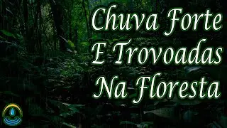 CHUVA NA FLORESTA⚡Barulho de CHUVA FORTE com TROV&Otilde;ES na FLORESTA para Dormir e Relaxar 💤