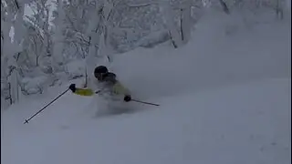 January 2026 Hokkaido Japow cat skiing : rising sun guides 