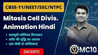 Mitosis Cell Division in Hindi | समसूत्री विभाजन | Animation | Biology | 9MC10