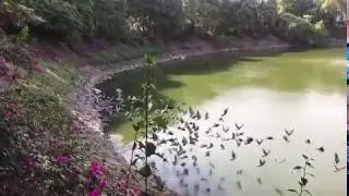 SEEPZ Lake | Beauty in slow motion