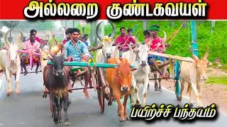 புதுக்கோட்டை மாவட்டம்  அல்லறை பயிற்சி பந்தயம் 10/12/2025 #ksk_rekla_race  #krish_studio_kattumavadi