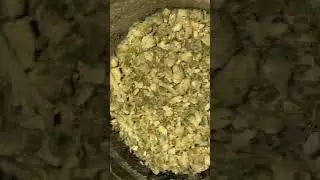 Columbian Haze by Cultivate  25.6 %