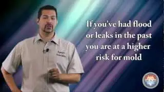 Mold Inspection San Diego San Diego Mold Testing (760) 434-4555