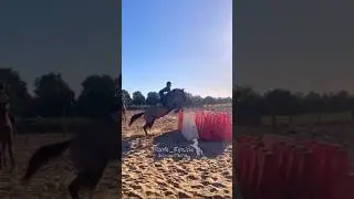 Here&rsquo;s the full video@StarryCatTails  🫶🏽 #contentcreator #equestrian #horsecommunity #edit