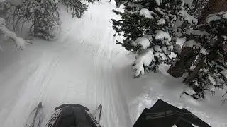Rough trails