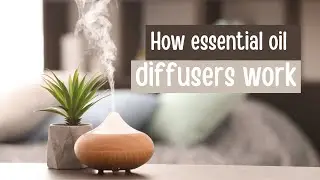 How essential oil diffusers work