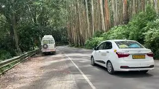 From Needle Rock to Frog Hill View Point | Scenic Drive Through Eucalyptus Trees #travel #ooty