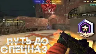 ПУТЬ ДО СПЕЦНАЗА #54 || ПИНГ ПОМОГ ЗАТАЩИТЬ КАТКУ || Critical Ops || DamianGamer