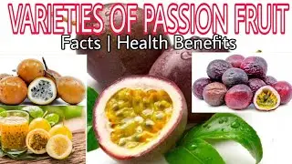 VARIETIES OF PASSION FRUIT | ORIGIN | HEALTH BENEFITS | FACTS