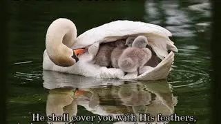 God's protection -Franz Hasel and Nicholai Panchuk (Part 2 of 2)