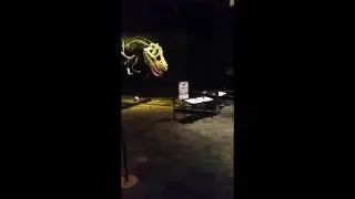Remote control dino! Holding them up like GREEN LANTERN