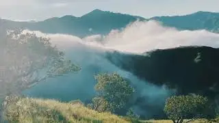 APAO ROLLING HILLS