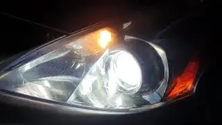 Отзыв клиента на автолампы H11 Carlamp LED Smart Vision 8000Lm 6500K на авто Toyota Prius V