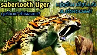மர்ம பூனை பற்றிய ஆச்சிரியமான உண்மைகள்||Sabertooth tiger facts in tamil||facts about Smilodon