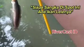 Siapa Sangka Di Spot Ini Ada Ikan Lelenya | microfishing 