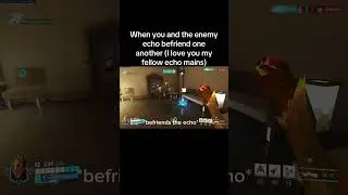 I love when echos be friendly🫶 #gaming #twitch #streamer #contentcreator #overwatch