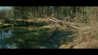 Jazz River