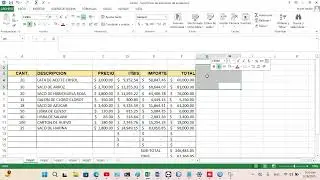 PRESUPUESTO EN EXCEL