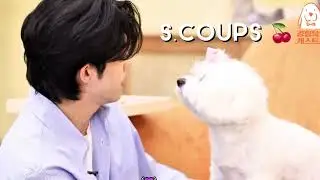 Seventeen 95 line