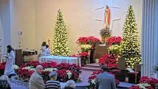 Corpus Christi Live Stream