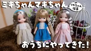 【リカちゃんキャッスル催事】ミキマキがやってきた!