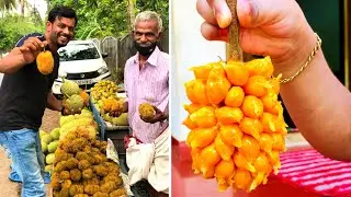 ഐനി ചക്ക..താമര ചക്ക..അങ്ങനെ ഒന്നൊന്നര വറൈറ്റി ചക്കകൾ..😋 Variety jackfruit