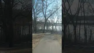 View of trees, blue sky and frozen lake on a sunny February day