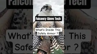 Innovative Falconry Glove: The Untold Tech Behind Predator Safety - easy work solution