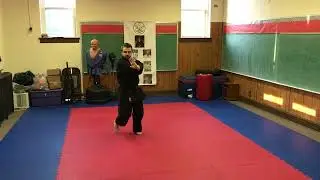 Pinan Shodan - Shinko Niyotte Karate - Nathan Shults