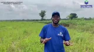 Muna Chimso Layout Phase 1, Ukwulu | Land from ₦2.5M (All-Inclusive)
