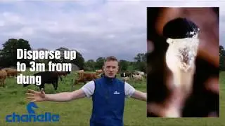 Lungworm larvae dispersion - #sixtysecondsolutions