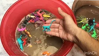 Plastic Mini Animals clean in water Tub | plastic Animal Toys in water tub | satisfying toys ideas