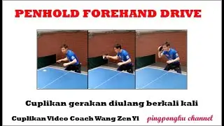 Latihan tenis meja Penhold Forehand Drive Wang Zen Yi