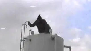 坂口恭平1998